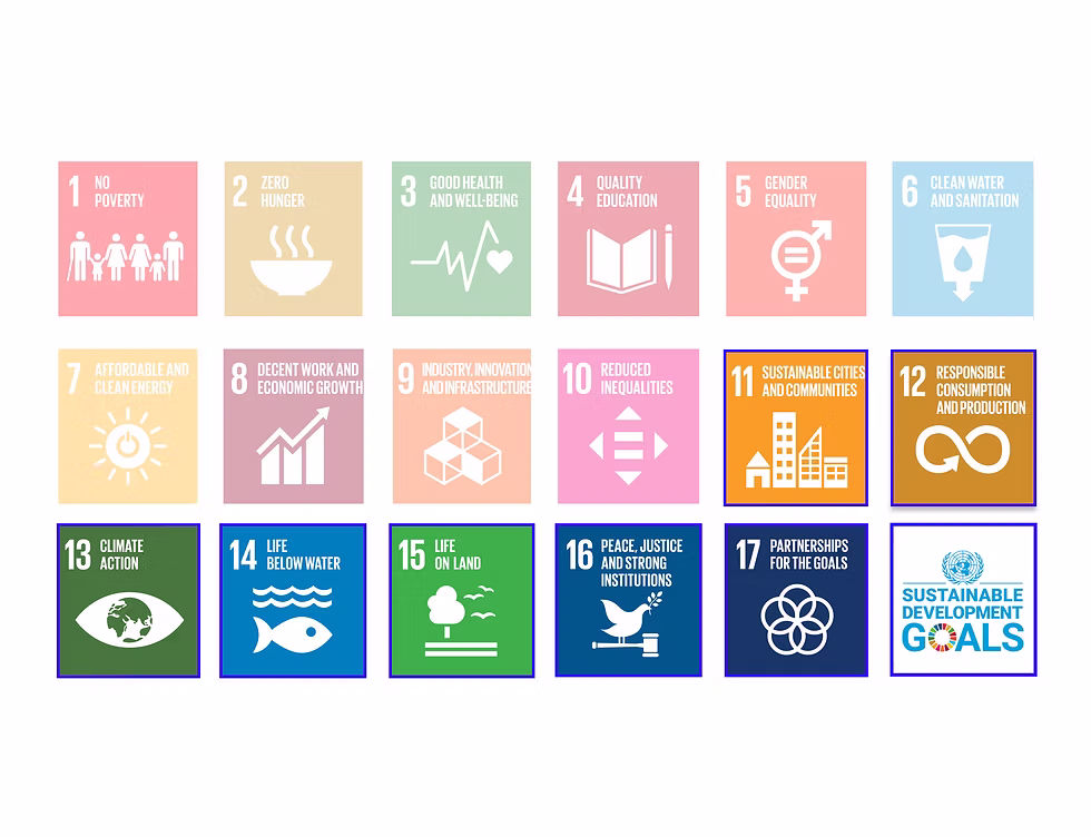 UN Goals